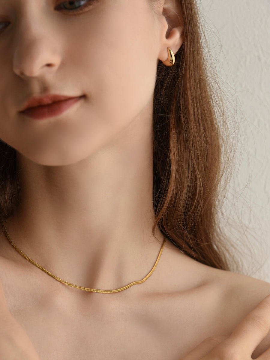 RC amulet snake chain necklace