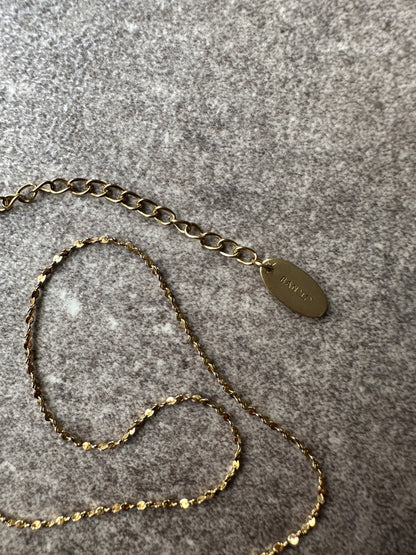RC amulet snake chain necklace